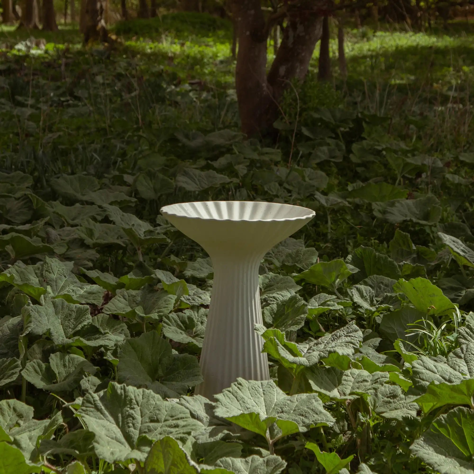 Green Space, vitt räfflat fågelbad som står bland stora gröna blad i en skogsträdgård